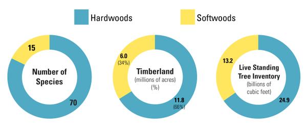 Figure 1. In North Carolina, hardwoods dominate softwoods